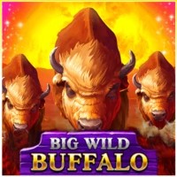 game logo by Belatra Games on regalrush.eu.com